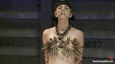 سكس سادي عنيف مع فتاة ممحونة