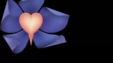 سكس شيميل ساخن مع اختي الكبيرة